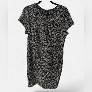 Adrianna Papell Women’s Black and Cream Lined Lace Cap Sleeve Cocktail Dress